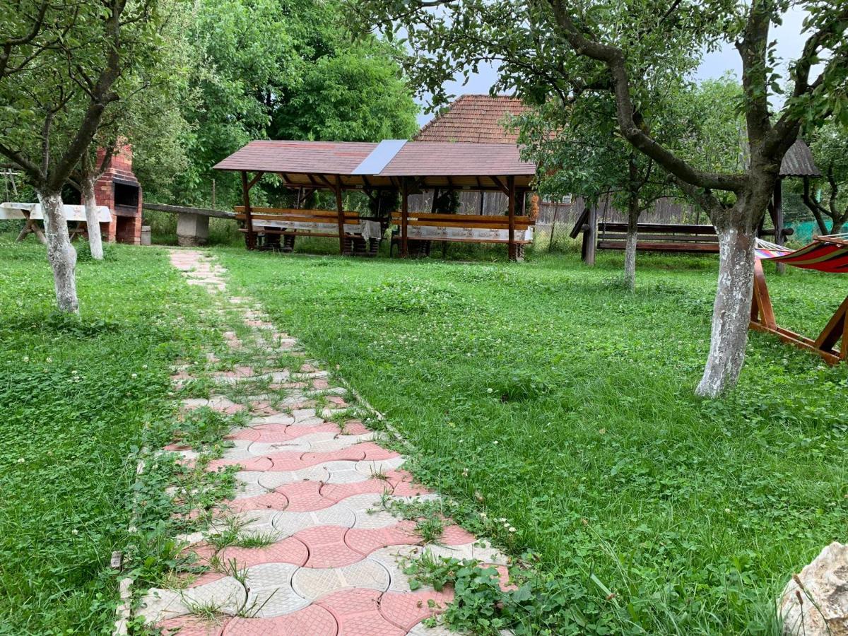 Vila Mogan Hotel Moieciu de Jos Luaran gambar